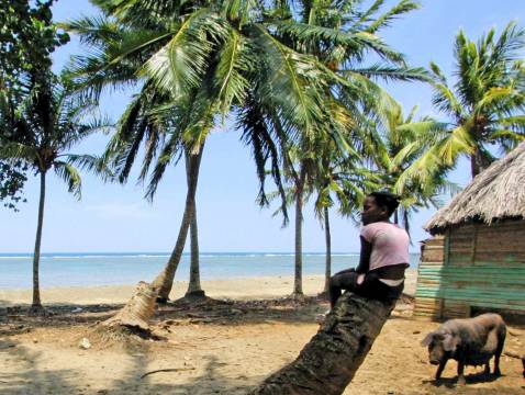 A girl sitting on a coconut tree stump next to her house, looking out over the ocean, in a small settlement near the city of Baracoa in Cuba