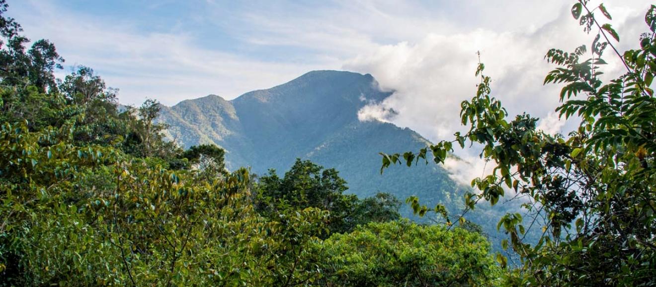 A view of the Pico Turquino mountain from a distance