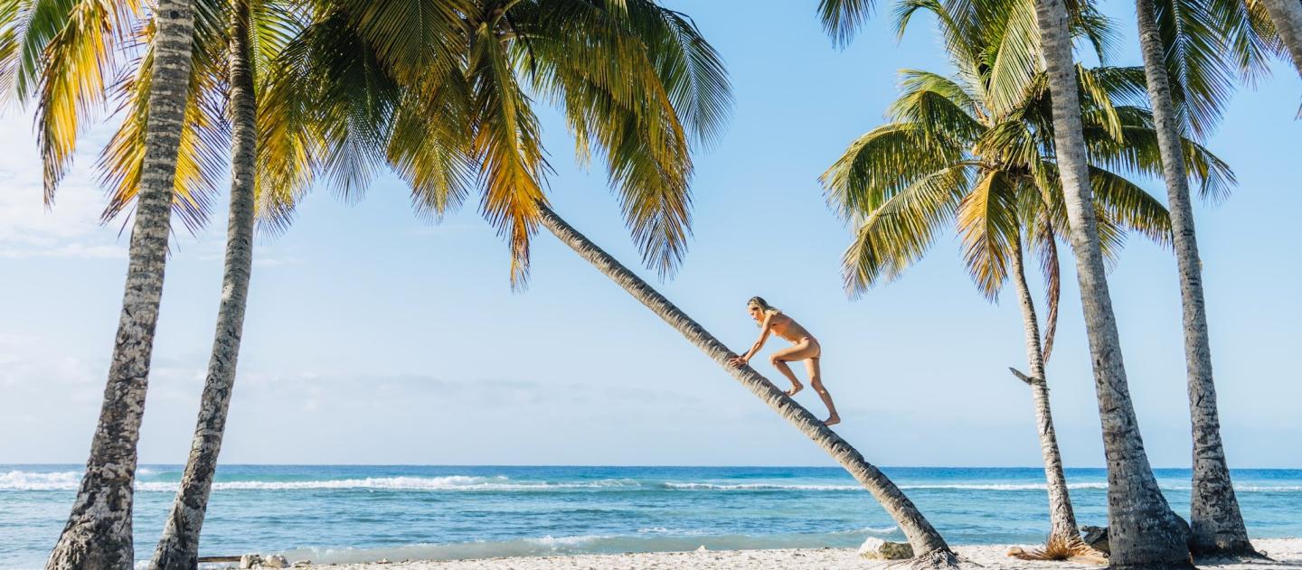 Uma praia de areia branca com coqueiros na Baía dos Porcos, em Cuba