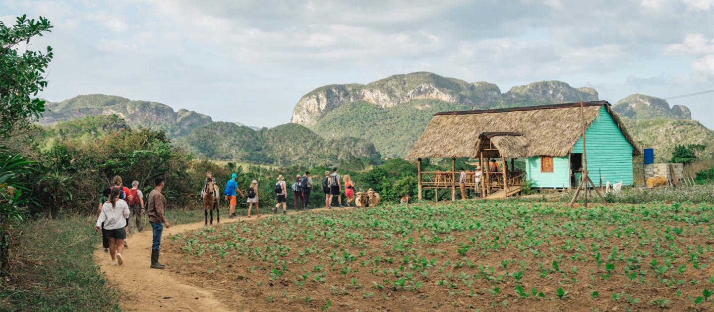 Fazenda de plantação de tabaco em Viñales, Cuba
